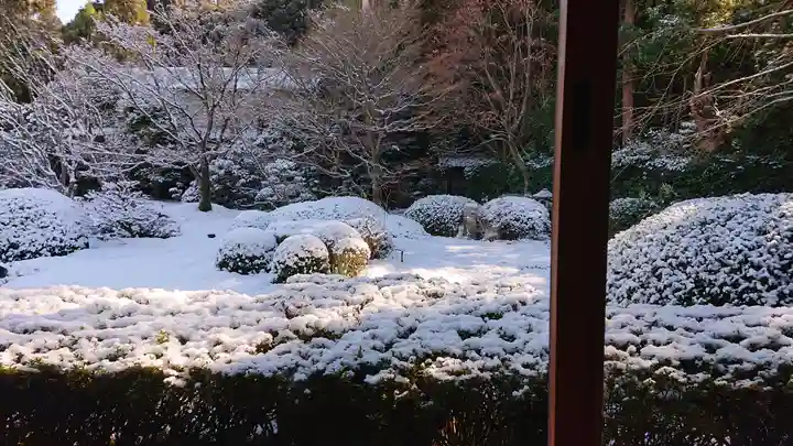 雲龍院(京都府)