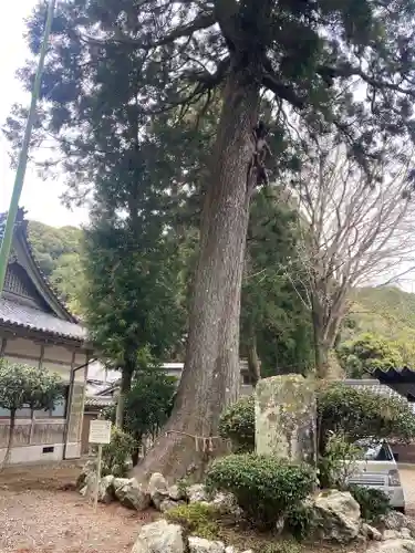 正福寺(三重県)