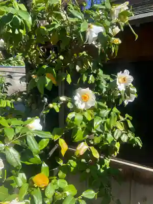 五條天神社(東京都)