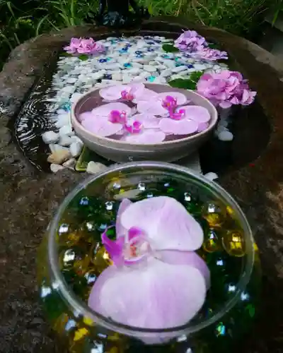 琴似神社の手水