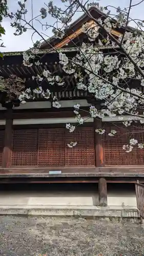 大報恩寺（千本釈迦堂）(京都府)