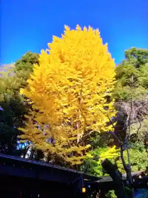 乃木神社(東京都)