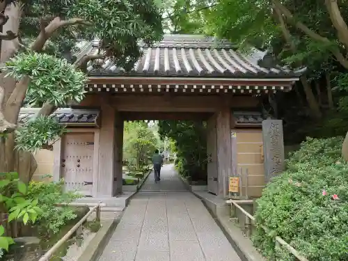 報国寺の山門