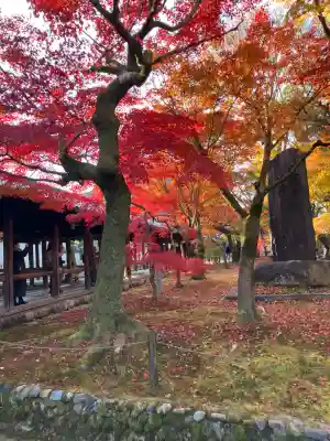 東福禅寺(東福寺)(京都府)