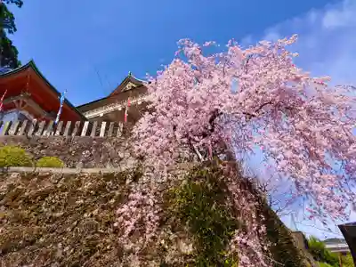 熊野那智大社(和歌山県)