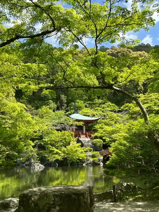 醍醐寺の{uncategorized: "未分類", other: "その他", undefined: "問題あり", building: "その他建物", grave: "お墓", sacred_gate: "鳥居", guardian: "狛犬", statue: "像", buddha: "仏像", history: "歴史", nature: "自然", garden: "庭園", animal: "動物", pagoda: "塔", temizu: "手水舎", mountain_gate: "山門・神門", sanctuary: "本殿・本堂", subordinate: "末社・摂社", art: "芸術", scenery: "景色", jizo: "地蔵", ema: "絵馬", goshuin: "御朱印", omikuji: "おみくじ", items: "授与品その他", amulet: "お守り", goshuincho: "御朱印帳", eats: "食事", festival: "お祭り", votive_dance: "神楽", shichigosan: "七五三参", wedding: "結婚式", experience: "体験その他", initially: "初詣", around: "周辺", anti_infection: "感染症対策"}