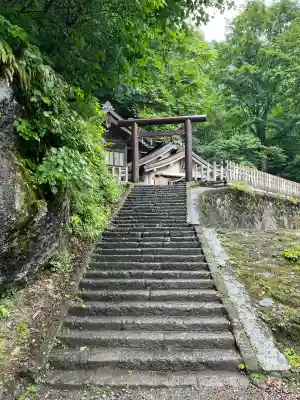 戸隠神社奥社の{uncategorized: "未分類", other: "その他", undefined: "問題あり", building: "その他建物", grave: "お墓", sacred_gate: "鳥居", guardian: "狛犬", statue: "像", buddha: "仏像", history: "歴史", nature: "自然", garden: "庭園", animal: "動物", pagoda: "塔", temizu: "手水舎", mountain_gate: "山門・神門", sanctuary: "本殿・本堂", subordinate: "末社・摂社", art: "芸術", scenery: "景色", jizo: "地蔵", ema: "絵馬", goshuin: "御朱印", omikuji: "おみくじ", items: "授与品その他", amulet: "お守り", goshuincho: "御朱印帳", eats: "食事", festival: "お祭り", votive_dance: "神楽", shichigosan: "七五三参", wedding: "結婚式", experience: "体験その他", initially: "初詣", around: "周辺", anti_infection: "感染症対策"}