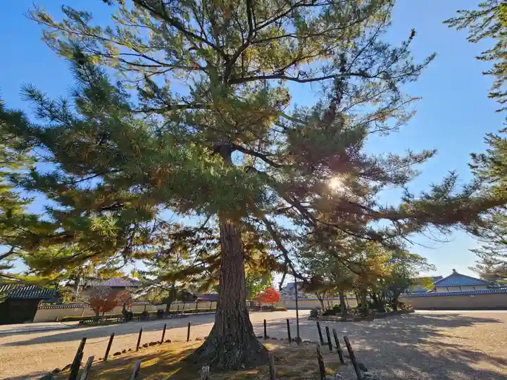 法隆寺(奈良県)