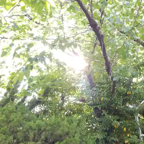 筑土八幡神社の自然