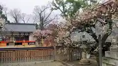 北野天満宮の建物その他