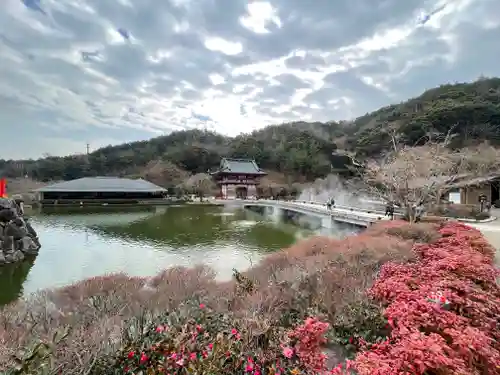 勝尾寺の景色