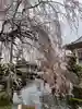 正眼寺(愛知県)