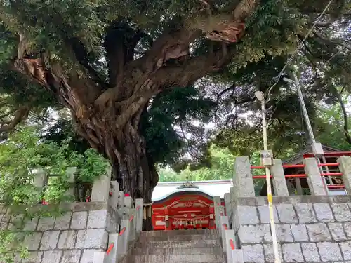 八幡大神(神奈川県)