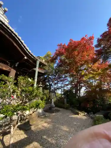 柳谷観音　楊谷寺(京都府)