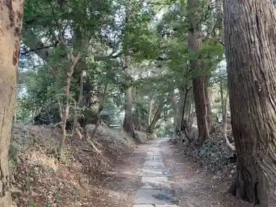 縣神社(千葉県)
