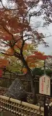 師岡熊野神社(神奈川県)