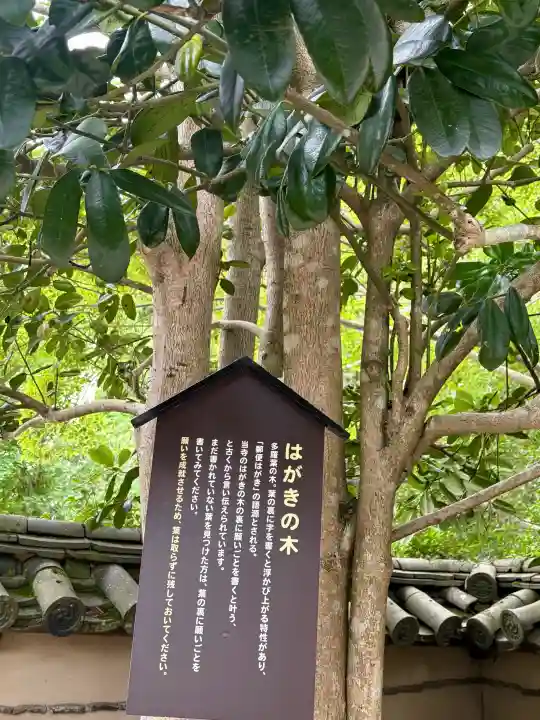 法起院(奈良県)
