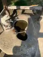 八雲神社の手水舎