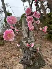 豊景神社(福島県)