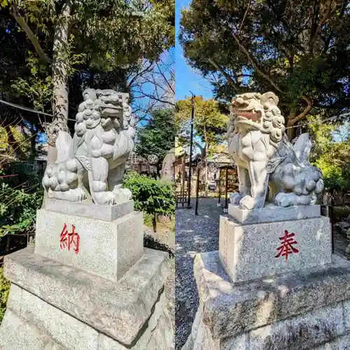 菊田神社の狛犬