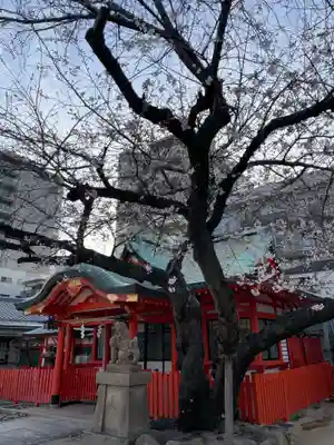 兵庫嚴島神社(兵庫県)