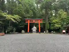 霧島神宮(鹿児島県)