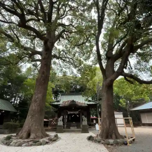 五社神社の{uncategorized: "未分類", other: "その他", undefined: "問題あり", building: "その他建物", grave: "お墓", sacred_gate: "鳥居", guardian: "狛犬", statue: "像", buddha: "仏像", history: "歴史", nature: "自然", garden: "庭園", animal: "動物", pagoda: "塔", temizu: "手水舎", mountain_gate: "山門・神門", sanctuary: "本殿・本堂", subordinate: "末社・摂社", art: "芸術", scenery: "景色", jizo: "地蔵", ema: "絵馬", goshuin: "御朱印", omikuji: "おみくじ", items: "授与品その他", amulet: "お守り", goshuincho: "御朱印帳", eats: "食事", festival: "お祭り", votive_dance: "神楽", shichigosan: "七五三参", wedding: "結婚式", experience: "体験その他", initially: "初詣", around: "周辺", anti_infection: "感染症対策"}