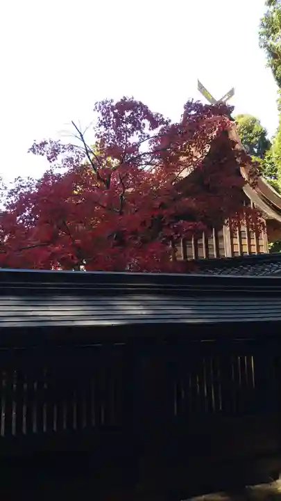 胡宮神社(敏満寺史跡)(滋賀県)