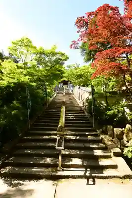 大聖院(広島県)