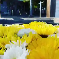 鹿島台神社の手水