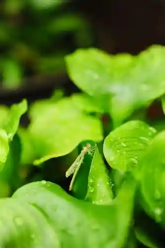 浄土寺(兵庫県)