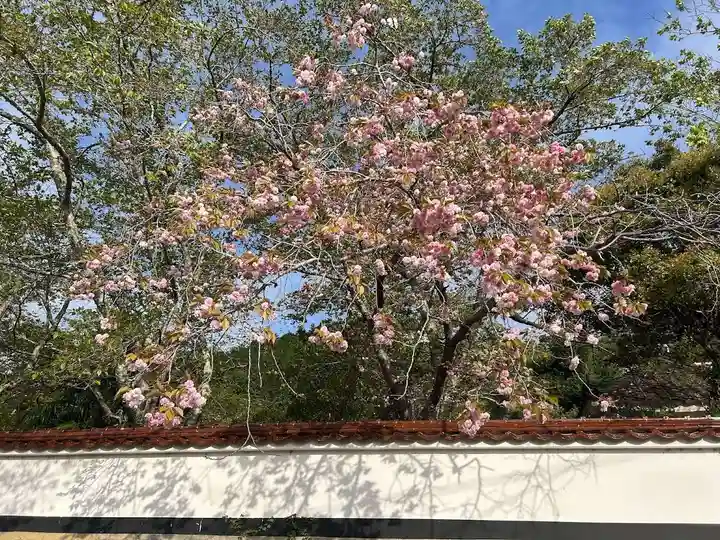 木舟山 順教寺(広島県)
