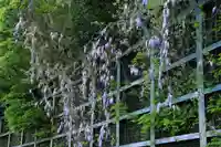 阿久津「田村神社」(郡山市阿久津町)旧社名:伊豆箱根三嶋三社の周辺