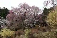 昌福寺の自然
