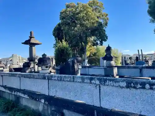 善応寺の{uncategorized: "未分類", other: "その他", undefined: "問題あり", building: "その他建物", grave: "お墓", sacred_gate: "鳥居", guardian: "狛犬", statue: "像", buddha: "仏像", history: "歴史", nature: "自然", garden: "庭園", animal: "動物", pagoda: "塔", temizu: "手水舎", mountain_gate: "山門・神門", sanctuary: "本殿・本堂", subordinate: "末社・摂社", art: "芸術", scenery: "景色", jizo: "地蔵", ema: "絵馬", goshuin: "御朱印", omikuji: "おみくじ", items: "授与品その他", amulet: "お守り", goshuincho: "御朱印帳", eats: "食事", festival: "お祭り", votive_dance: "神楽", shichigosan: "七五三参", wedding: "結婚式", experience: "体験その他", initially: "初詣", around: "周辺", anti_infection: "感染症対策"}