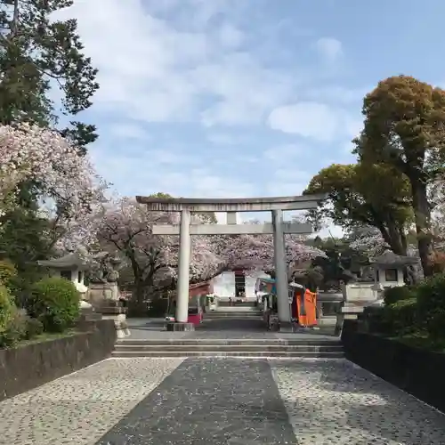 富士山本宮浅間大社の鳥居