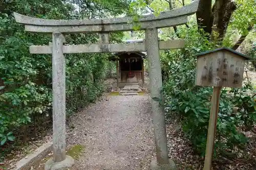 向日神社の鳥居