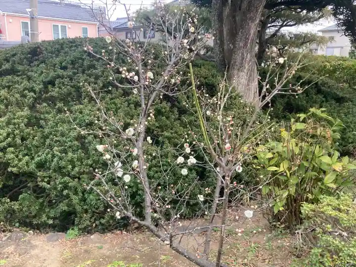 満蔵院(神奈川県)