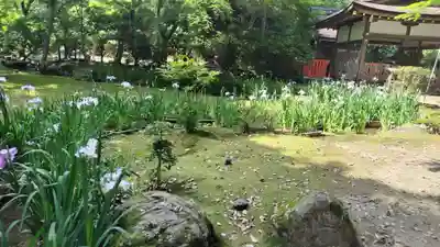 賀茂別雷神社(上賀茂神社)(京都府)
