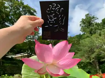 普門寺(切り絵御朱印発祥の寺)(愛知県)