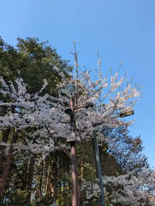 北海道神宮の自然