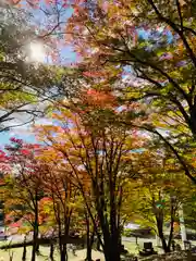 土津神社｜こどもと出世の神さまの自然