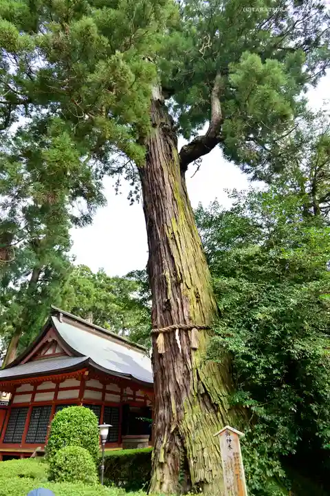 香取神宮の自然