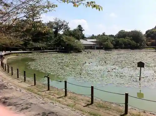 橿原神宮の自然