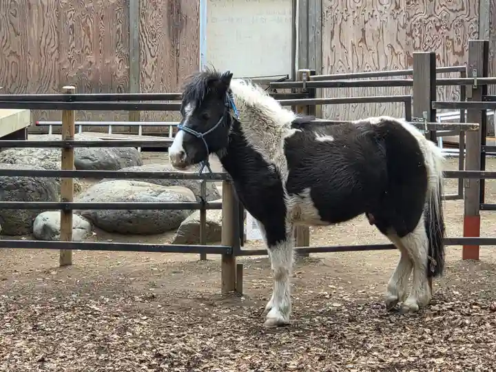 平塚八幡宮(神奈川県)
