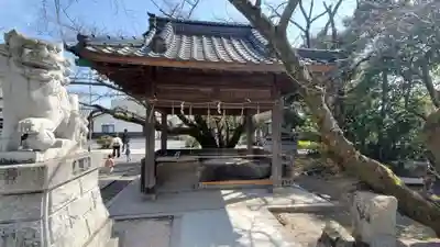 中津大神宮の手水舎