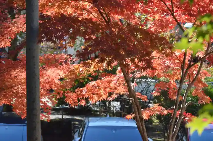 久遠寺(山梨県)