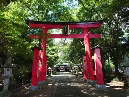 峯ヶ岡八幡神社の鳥居