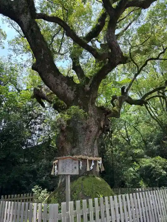 熱田神宮(愛知県)