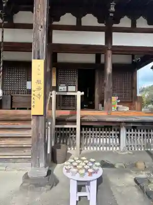 般若寺 ❁﻿コスモス寺❁(奈良県)